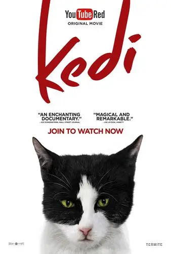 Kedi (2017) Wall Poster picture 742711