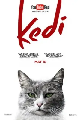 Kedi 2017 Wall Poster picture 679979