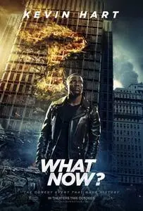 Kevin Hart What Now (2016) posters and prints