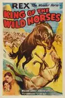 King of the Wild Horses (1933) posters and prints