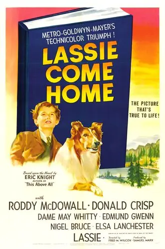 Lassie Come Home (1943) Wall Poster picture 939206