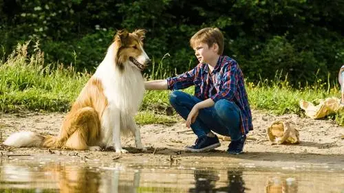 Lassie - Eine abenteuerliche Reise (2020) Men's Colored Hoodie - idPoster.com