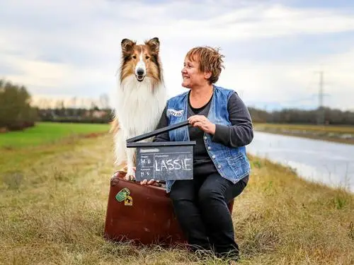 Lassie - Eine abenteuerliche Reise (2020) Image Jpg picture 1052443