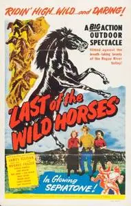 Last of the Wild Horses (1948) posters and prints