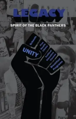 Legacy Spirit of the Black Panthers 2016 Men's Colored Hoodie - idPoster.com