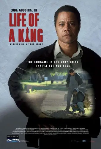 Life of a King (2013) Wall Poster picture 464351