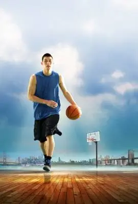 Linsanity (2013) Wall Poster picture 369293