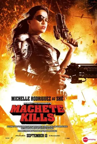 Machete Kills (2013) Wall Poster picture 471283