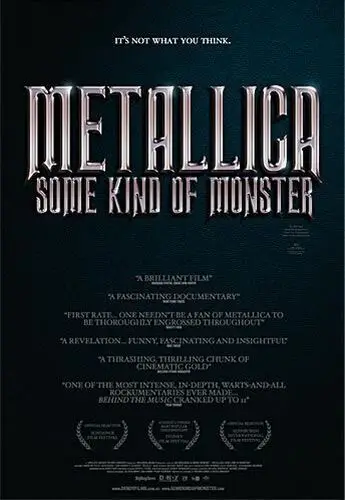 Metallica: Some Kind of Monster (2004) Men's Colored Hoodie - idPoster.com
