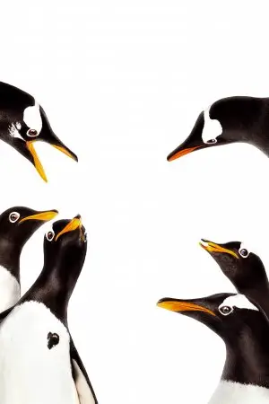Mr. Poppers Penguins (2011) Jigsaw Puzzle picture 416415