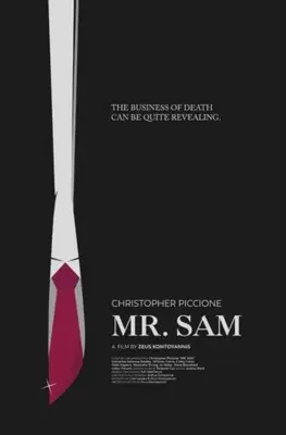 Mr. Sam (2019) Wall Poster picture 893505