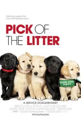Pick of the Litter (2019) Computer MousePad picture 861383