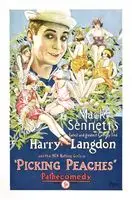 Picking Peaches (1924) posters and prints