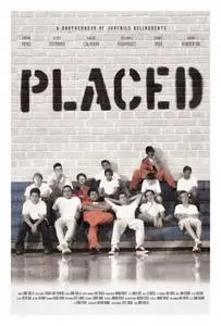 Placed (2012) posters and prints
