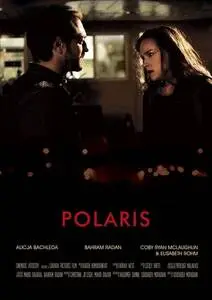 Polaris (2017) posters and prints
