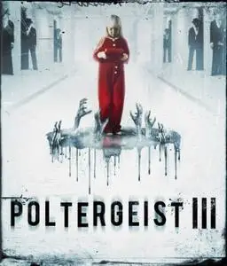 Poltergeist III (1988) posters and prints