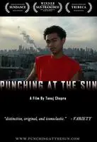 Punching at the Sun (2006) posters and prints