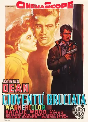 Rebel Without a Cause (1955) Wall Poster picture 922840