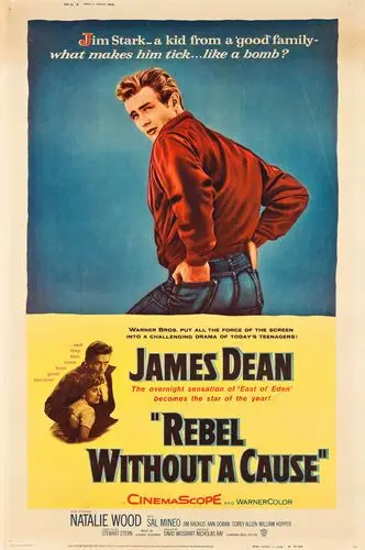 Rebel Without a Cause (1955) Wall Poster picture 922841