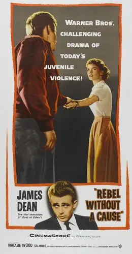 Rebel Without a Cause (1955) Wall Poster picture 922843