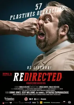Redirected (2014) Wall Poster picture 724313