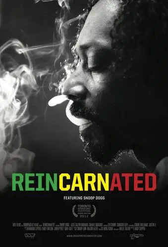 Reincarnated (2013) Wall Poster picture 501558