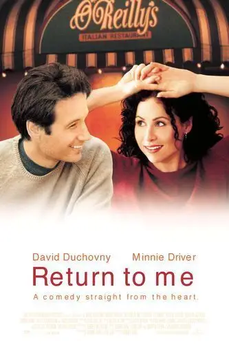 Return to Me (2000) Men's Colored Hoodie - idPoster.com