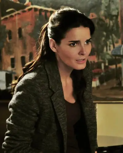 Rizzoli and Isles Wall Poster picture 222307