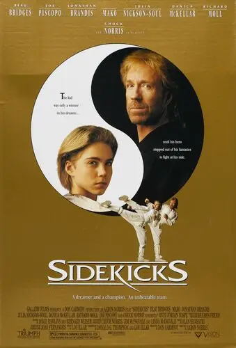 Sidekicks (1993) Men's Colored T-Shirt - idPoster.com