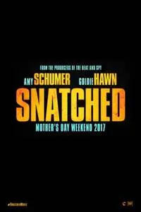 Snatched 2017 posters and prints