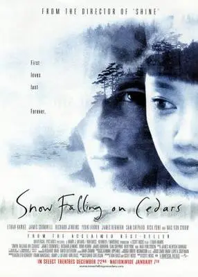 Snow Falling on Cedars (1999) Wall Poster picture 342509