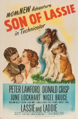 Son of Lassie (1945) Women's Colored T-Shirt - idPoster.com
