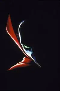 Spawn (1997) posters and prints
