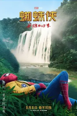 Spider-Man: Homecoming (2017) Wall Poster picture 802830