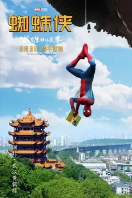 Spider-Man: Homecoming (2017) Wall Poster picture 802835