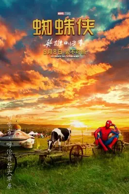 Spider-Man: Homecoming (2017) Wall Poster picture 802838