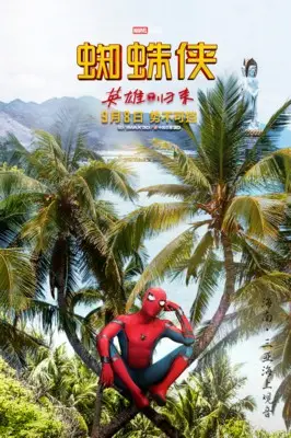 Spider-Man: Homecoming (2017) Wall Poster picture 802853