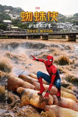 Spider-Man: Homecoming (2017) Wall Poster picture 802862