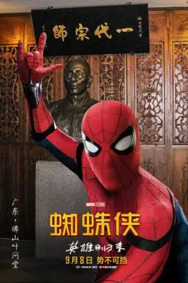 Spider-Man: Homecoming (2017) Wall Poster picture 802864