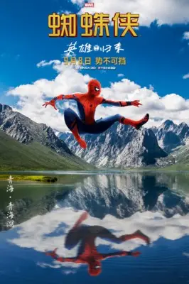 Spider-Man: Homecoming (2017) Wall Poster picture 802865