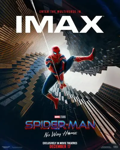 Spider-Man - No Way Home (2021) Wall Poster picture 1056694