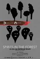 Spirits in the Forest (2019) posters and prints
