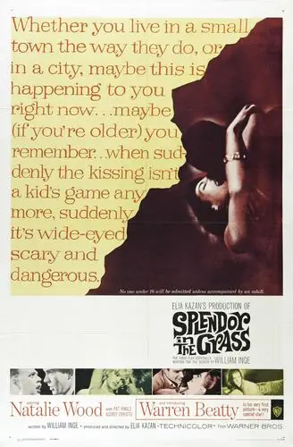 Splendor in the Grass (1961) Protected Face mask - idPoster.com