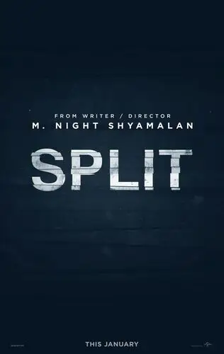 Split (2017) Wall Poster picture 536596