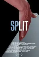 Split 2016 posters and prints