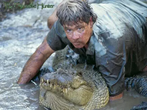 Steve Irwin - Crocodile Hunter Women's Colored T-Shirt - idPoster.com