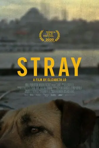 Stray (2020) Kitchen Apron - idPoster.com