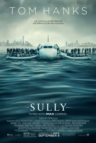 Sully 2016 Jigsaw Puzzle picture 673561
