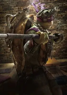 Teenage Mutant Ninja Turtles (2014) Image Jpg picture 376503