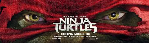 Teenage Mutant Ninja Turtles (2014) Women's Colored  Long Sleeve T-Shirt - idPoster.com